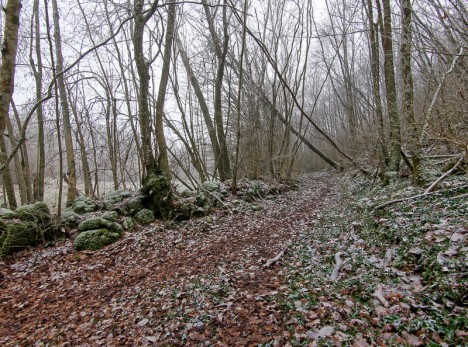 Le chemin de la Contamine