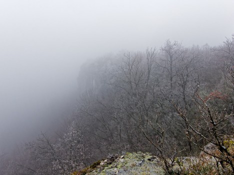 Point de vue de la Contamine