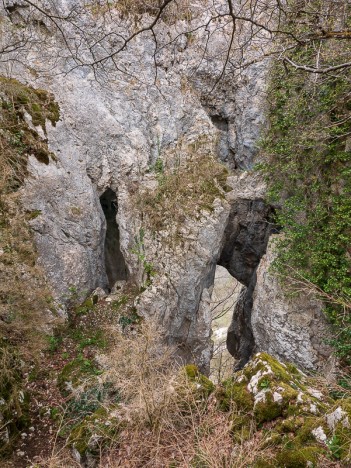 Les Fenêtres de la Burbanche