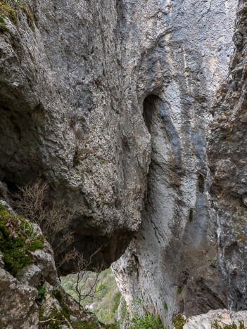 Les Fenêtres de la Burbanche
