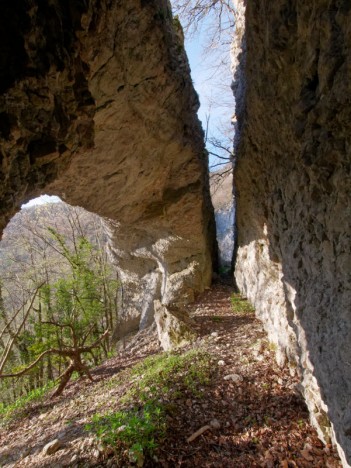 Arche de l'Écorche-Boeuf