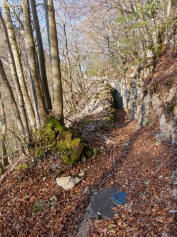 Chemin de l'Écorche-Boeuf