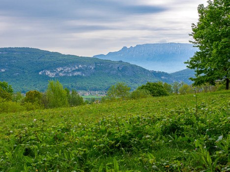 La Dent du Chat