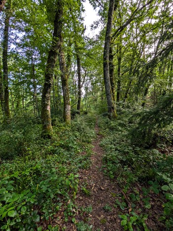 Douce lumière par le sentier de crête