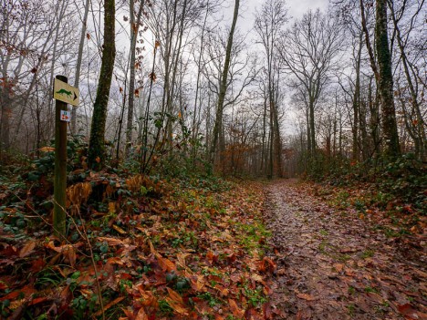 Sur le Sentier du Renard, déc. 2023