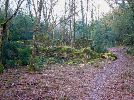 La ruine du Golet du Gela sur la commune de Peyrieu