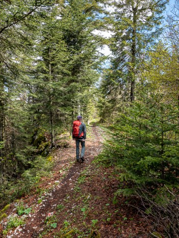 Sur le sentier des crêtes de Gigimont, mai 2021