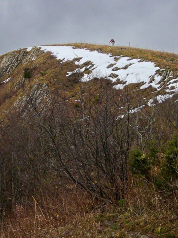 Antécime du Grand Colombier