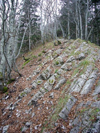 Sur l'arête Nord du Grand Colombier