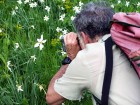 Antoine Salvi filme la fleur géante d'un Narcisse…