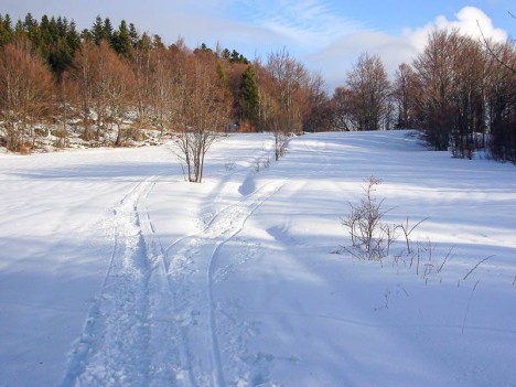 Traces d'une moto neige vers les Granges de Scioux