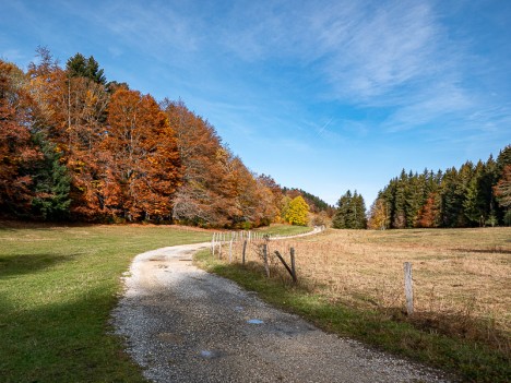 Chemin du Refuge de la Grange d'en Haut, oct. 2020