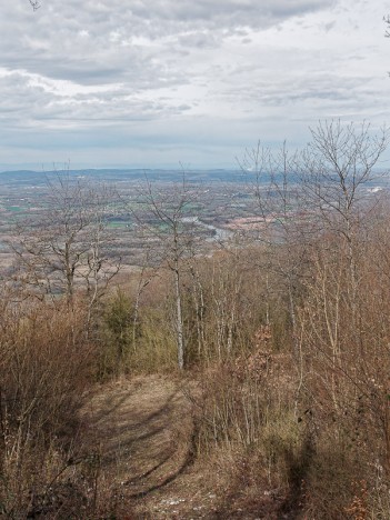 La plaine du Rhône