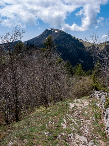 La Croix du Grand Colombier, mai 2021