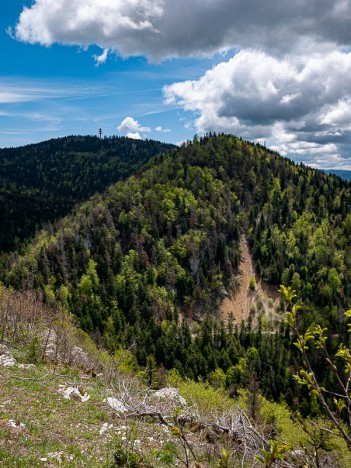 La crête de la Côte Aubert, mai 2021