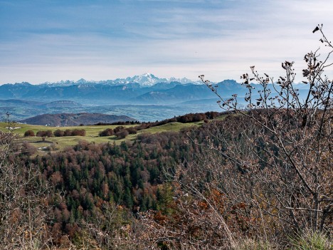 Sur la crête de l'Hergues, oct. 2020