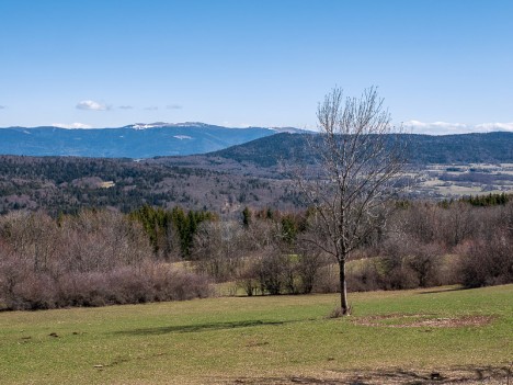 Le Grand Colombier