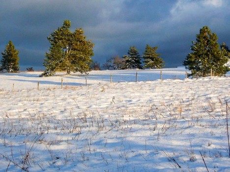Lumière d'hiver, Innimond