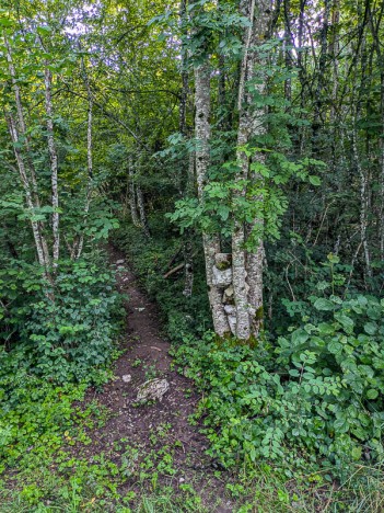 Embranchement du sentier du Teppet