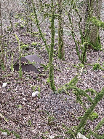 Benne d'un wagonnet des anciennes carrières abandonnés dans une pente, janv. 2023