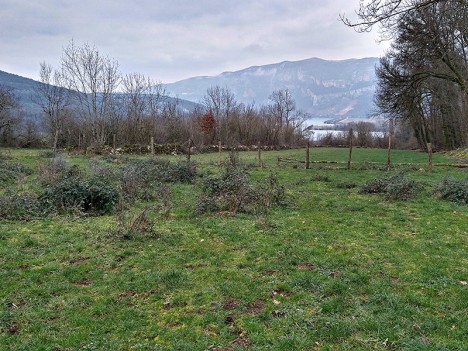 Sur les traces du chemin des grands prés du Mont de Cordon, janv. 2023