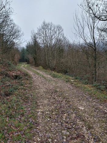 Descente du Mont Gela par une belle piste d'exploitation, janv. 2023