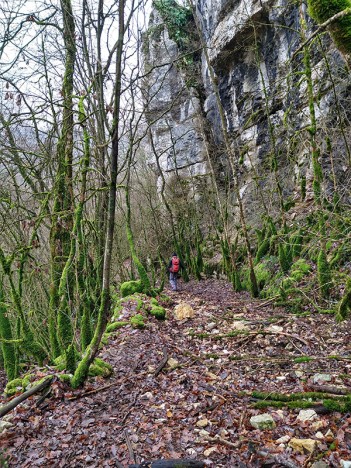 Au pied des falaises, descend le chemin du pont de la Combe, janv. 2023