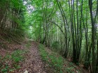 Chemin du versant Nord-Est du Mont Pela