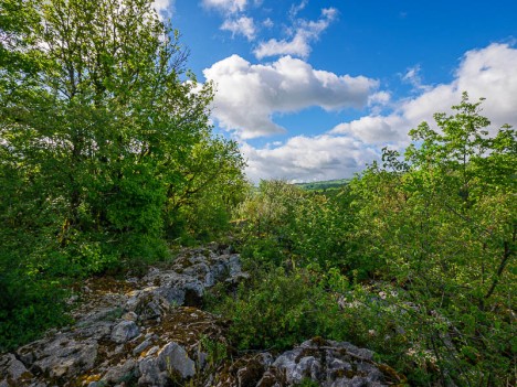 Sur le plateau de la Montagne de Chemilieu