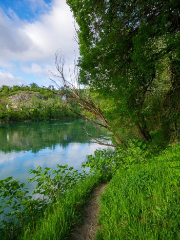 Le sentier en rive droite du Rhône