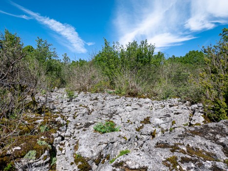 Un lapiaz sur la sente du Mont Chevreaux, mai 2021