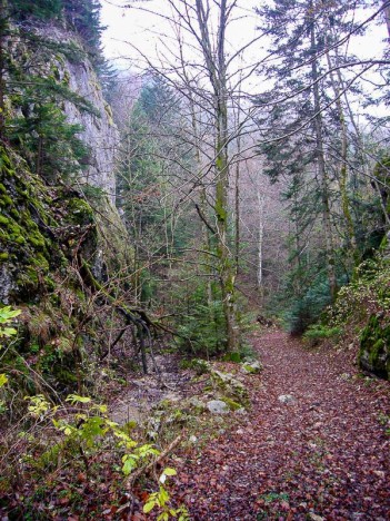 La combe du ruisseau de Brançon
