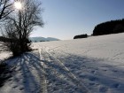 Ordonnaz, la piste de la Grande Bête