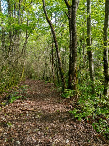 Au Bouchet, le chemin, mai 2021