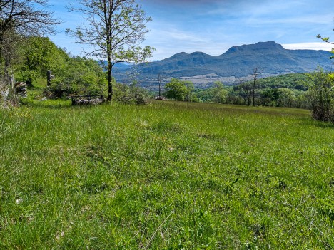 La Charvaz depuis les prés de la Molarde, mai 2021