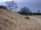 Prairie, Golet du Gela, Peyrieu