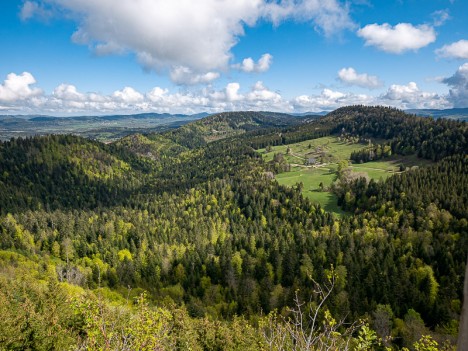 La Ferme Guichard depuis Planachat, mai 2021