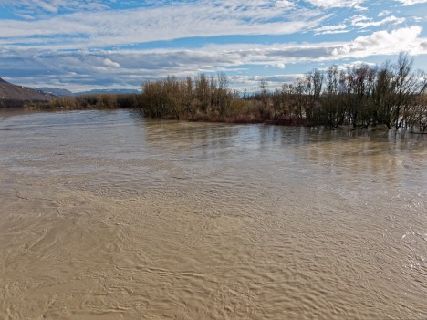 Crue du Rhône au Pont d'Évieu