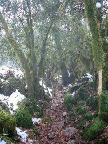 En suivant la Combe rapide qui descend de Planapose