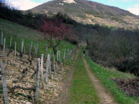 Sur Les Cras