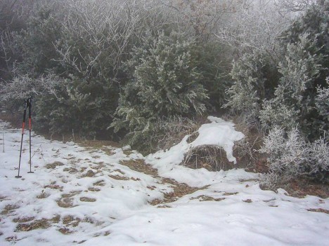 Chemin caché, prairie de Romagneux