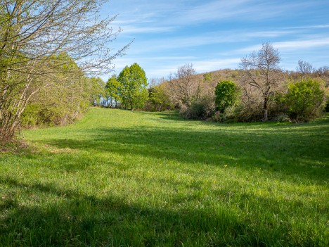 Pré de Rongère, avr. 2021