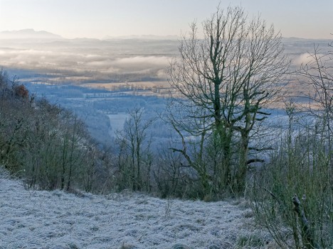 Au loin : la Chartreuse