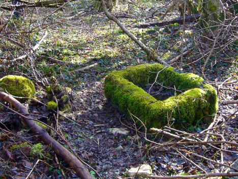 Puits et bassin de la Graye