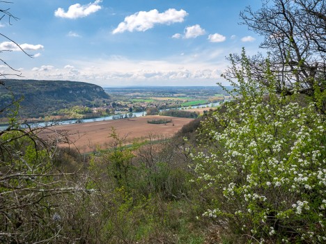 Vertrieu et le Rhône