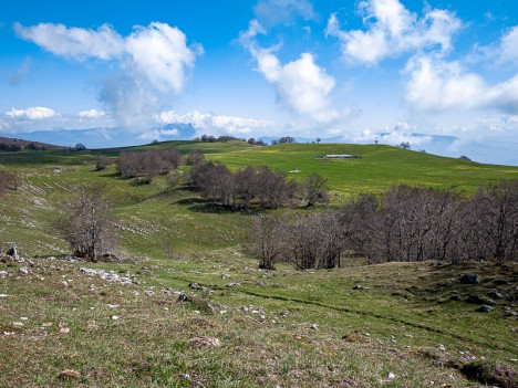 Sur Lyand, Croix de Famban, mai 2021