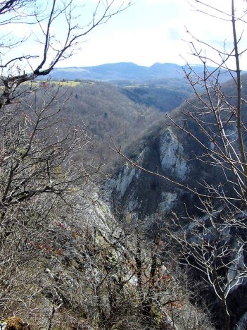 Le Vallon de l'Arodin