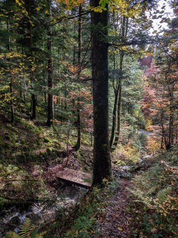 Passerelle sur le sentier, oct. 2020