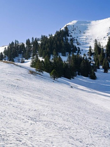 Sous le Chalet du Sac, le Crêt de l'Éguillon