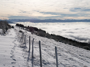 bugey-innimond-mont-pela-crete.jpg